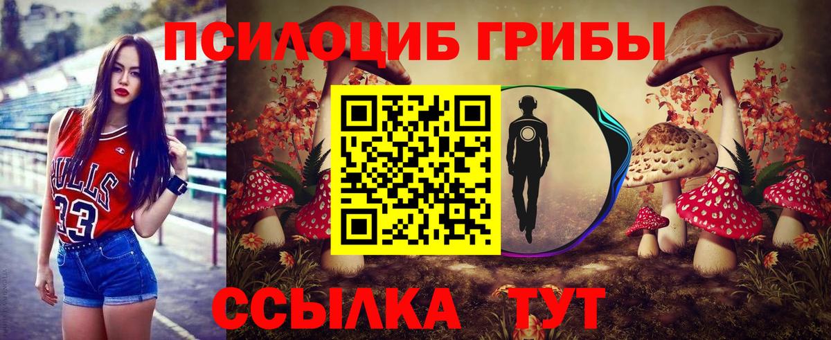 Галлюциногенные грибы Psilocybe  Вход с VPN  Галлюциногенные грибы Magic Shrooms  Старая Купавна 